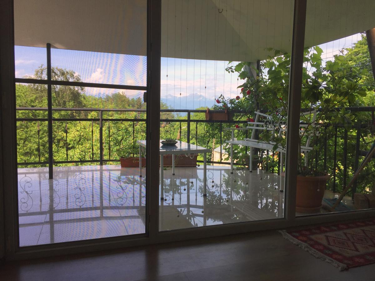 Nino'S Veranda Apartment Telawi Zewnętrze zdjęcie