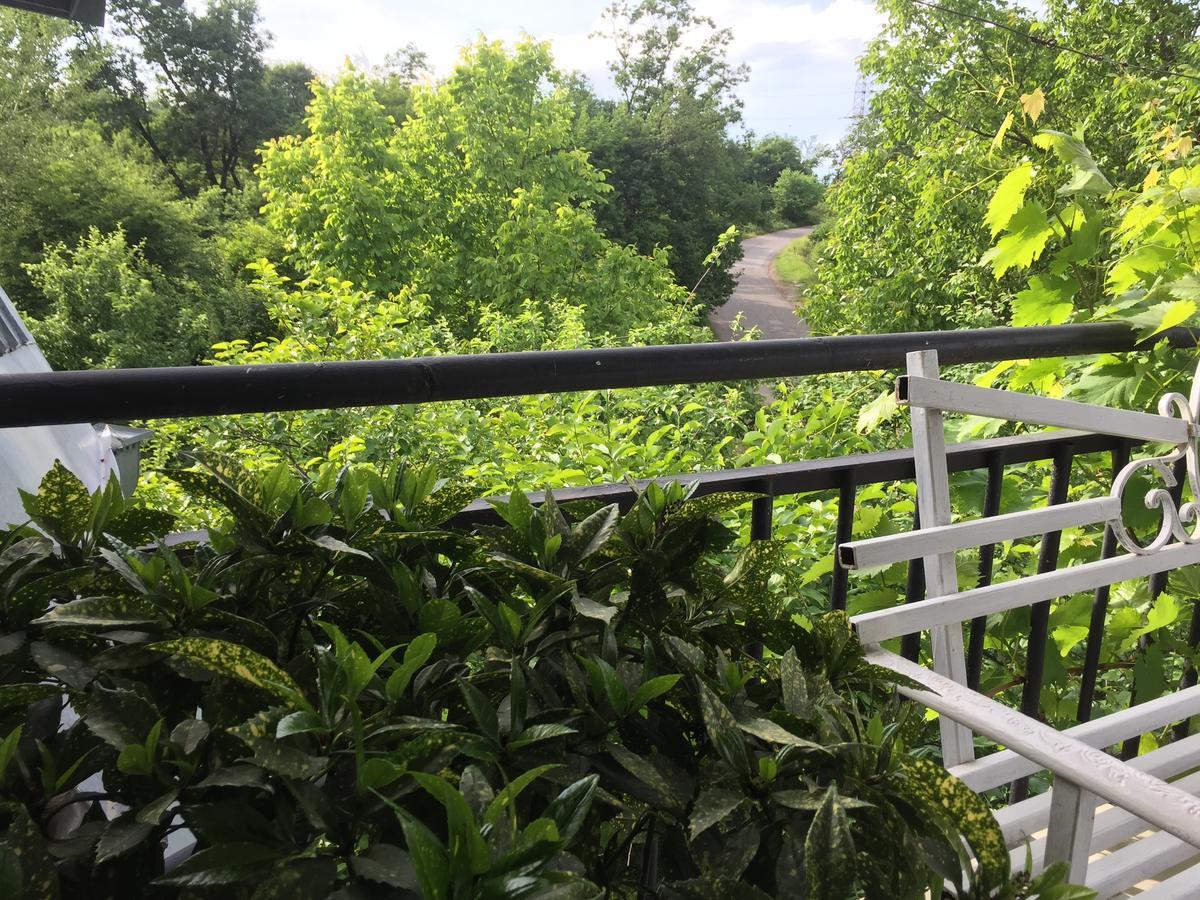 Nino'S Veranda Apartment Telawi Zewnętrze zdjęcie
